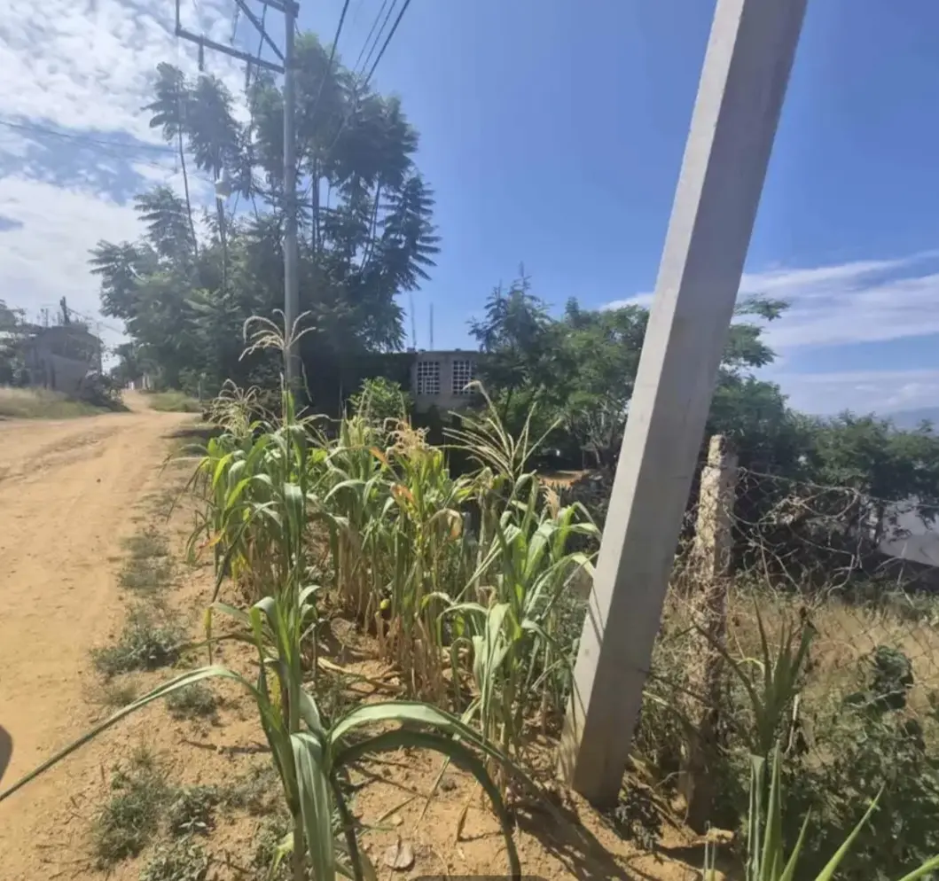 terreno en venta col.la soledad santa cruz xoxocotlan, oax
