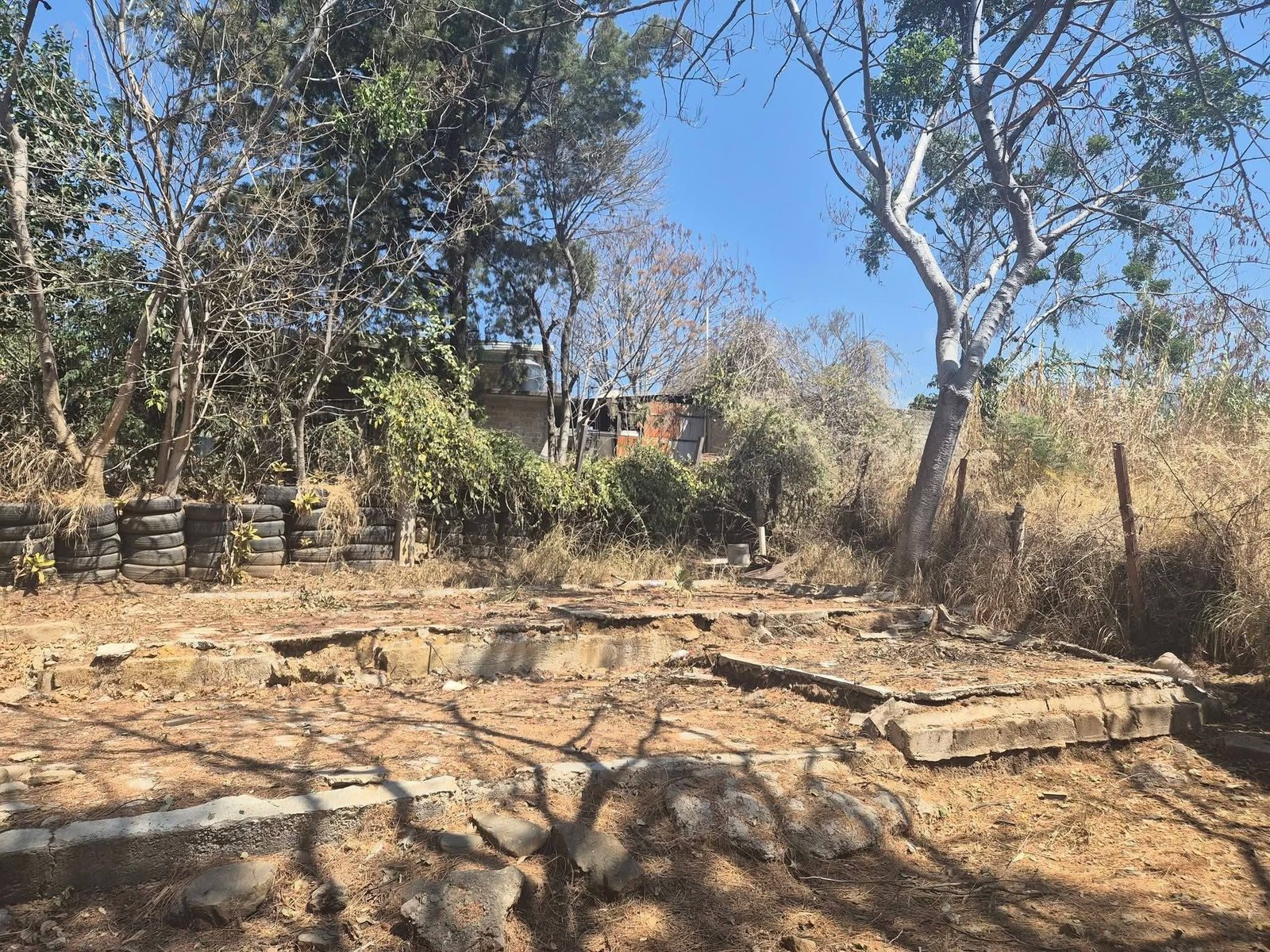 Foto 4