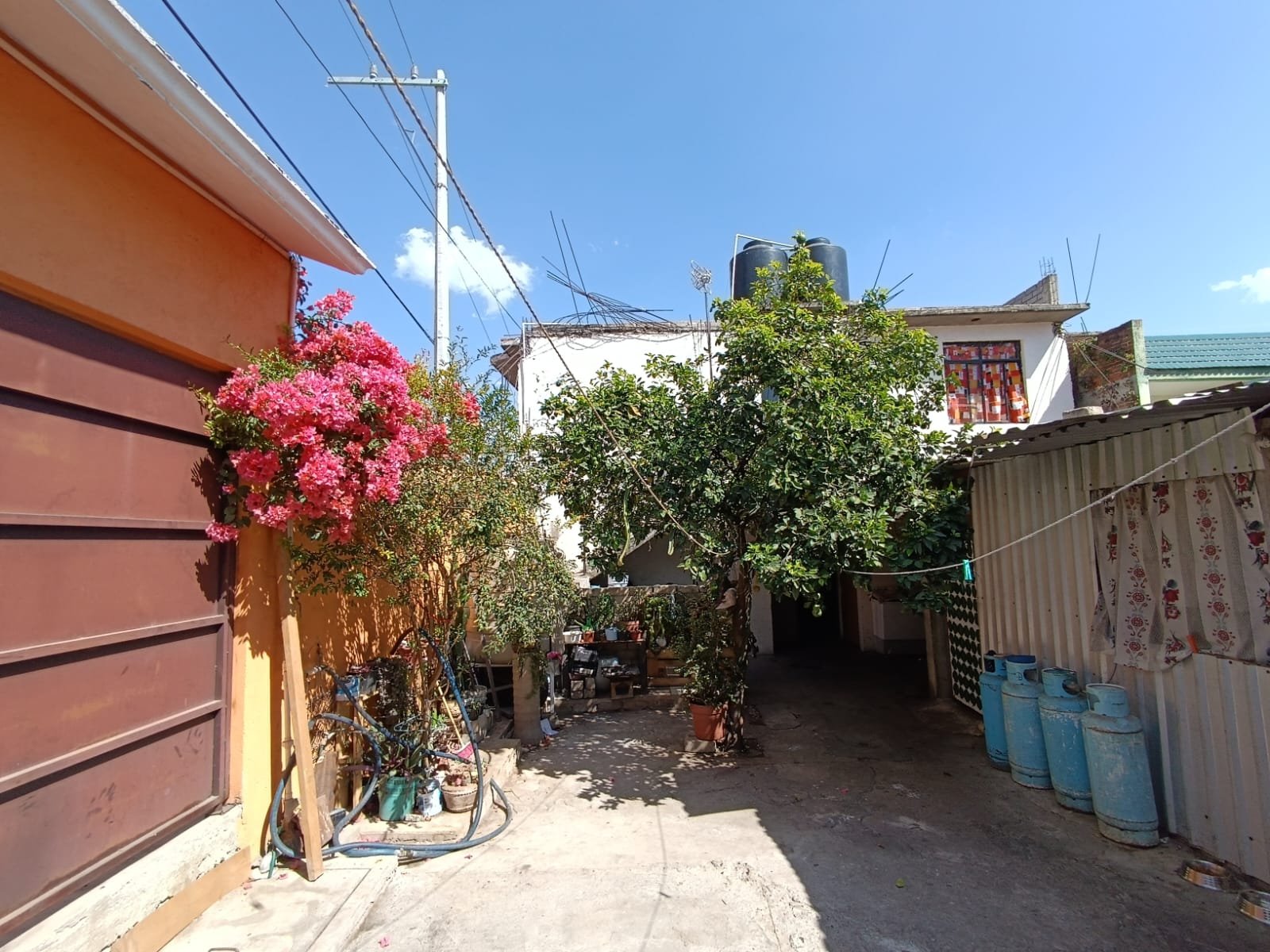 Foto 3